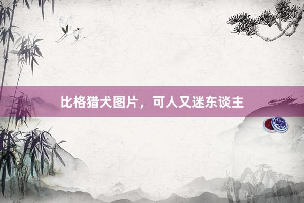 比格猎犬图片，可人又迷东谈主