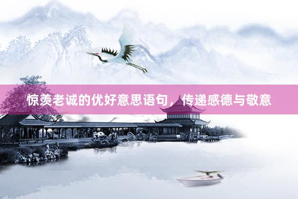 惊羡老诚的优好意思语句，传递感德与敬意